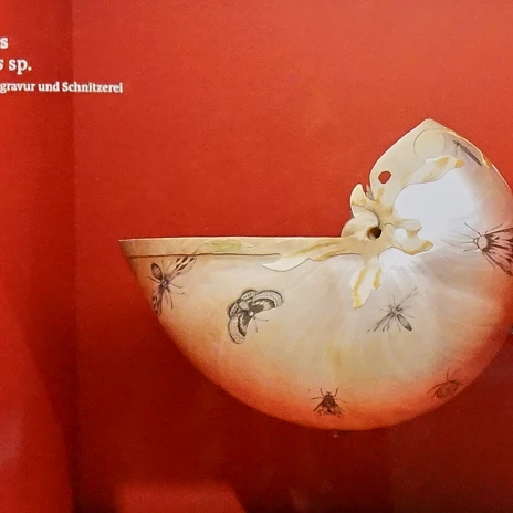 naturhistorisches-museum-bs-schatzkammer-nautilus-beate-ziehres.jpg