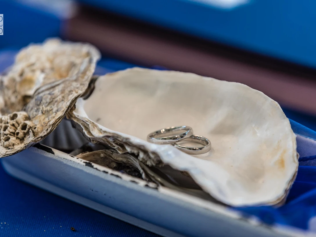 Hochzeitsschmuck-Trauringe-Juist