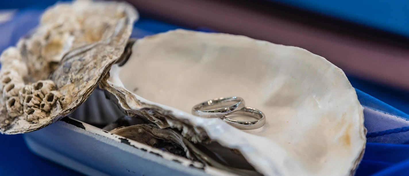 Hochzeitsschmuck-Trauringe-Juist.jpg Hochzeitsschmuck-Trauringe-Juist