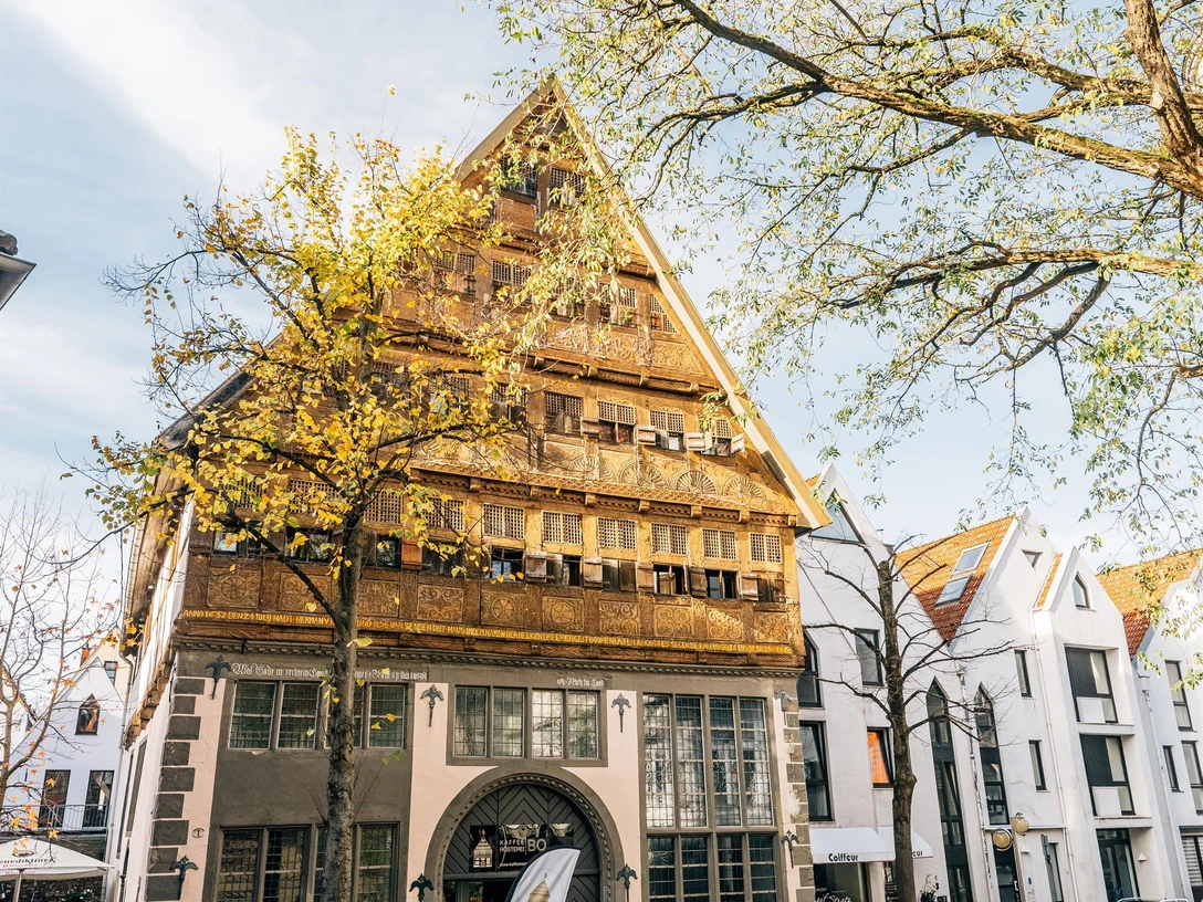 Bad Salzuflen Haus Backs