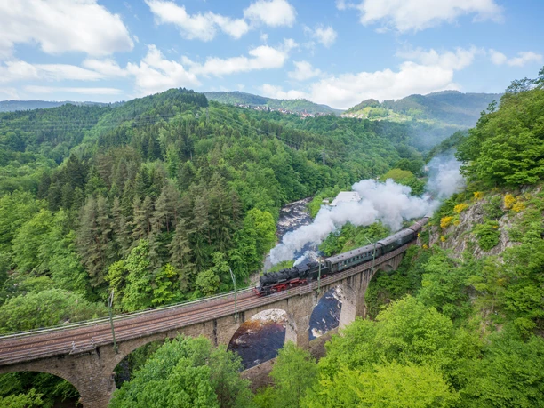 Der Dampfzug unterwegs im Murgtal