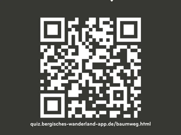 Streifzug-Quiz Baumweg Jubiläumsposter für 10 Jahre "Das Bergische Wanderland" mit QR-Code zum Streifzug-Quiz.