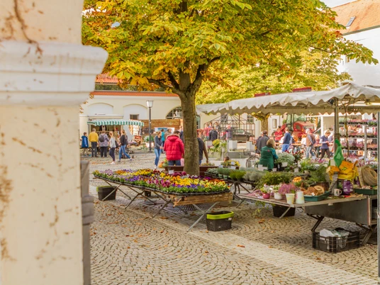 Bauernmarkt in Günzburg Ein belebter Bauernmarkt in Günzburg mit bunten Blumenständen, Menschen beim Einkaufen und herbstlichen Bäumen.