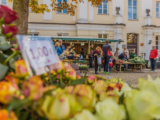 Bauernmarkt in Günzburg Auf dem Bild ist ein lebendiger Bauernmarkt zu sehen. Im Vordergrund sind bunte Blumen und ein Preisschild mit 1,00 € erkennbar. Dahinter stehen Menschen, die sich an Ständen mit Markisen umsehen. Ein historisches Gebäude mit großen Fenstern und Dekorationen bildet den Hintergrund. Die Szene wirkt einladend und freundlich.