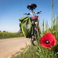 Fahrradtour durch die Region Roter Mohn vor Wiese, im Hintergrund Fahrrad an ruhiger Landstraße unter klarem Himmel.