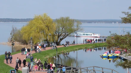 Uferpromenade am Steinhuder Meer mit Spaziergängern, Bäumen, Schiffsanlegern und Tretbooten.