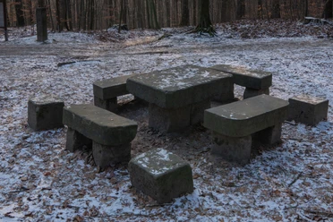 Steinerner-Tisch Steinerner Tisch mit Bänken im verschneiten Wald, umgeben von Laub und kahlen Bäumen, in ruhiger, winterlicher Atmosphäre.