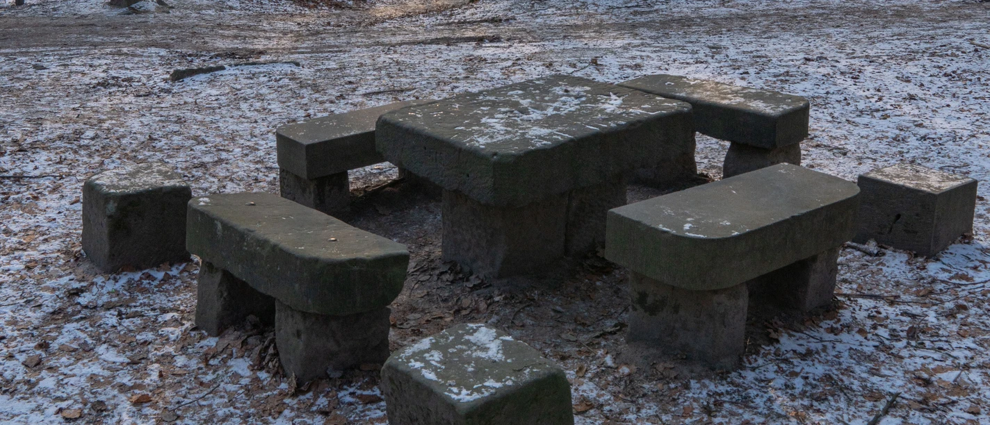 Stenen tafel Stenen tafel met banken in een besneeuwd bos, omringd door bladeren en kale bomen, in een rustige, winterse sfeer.