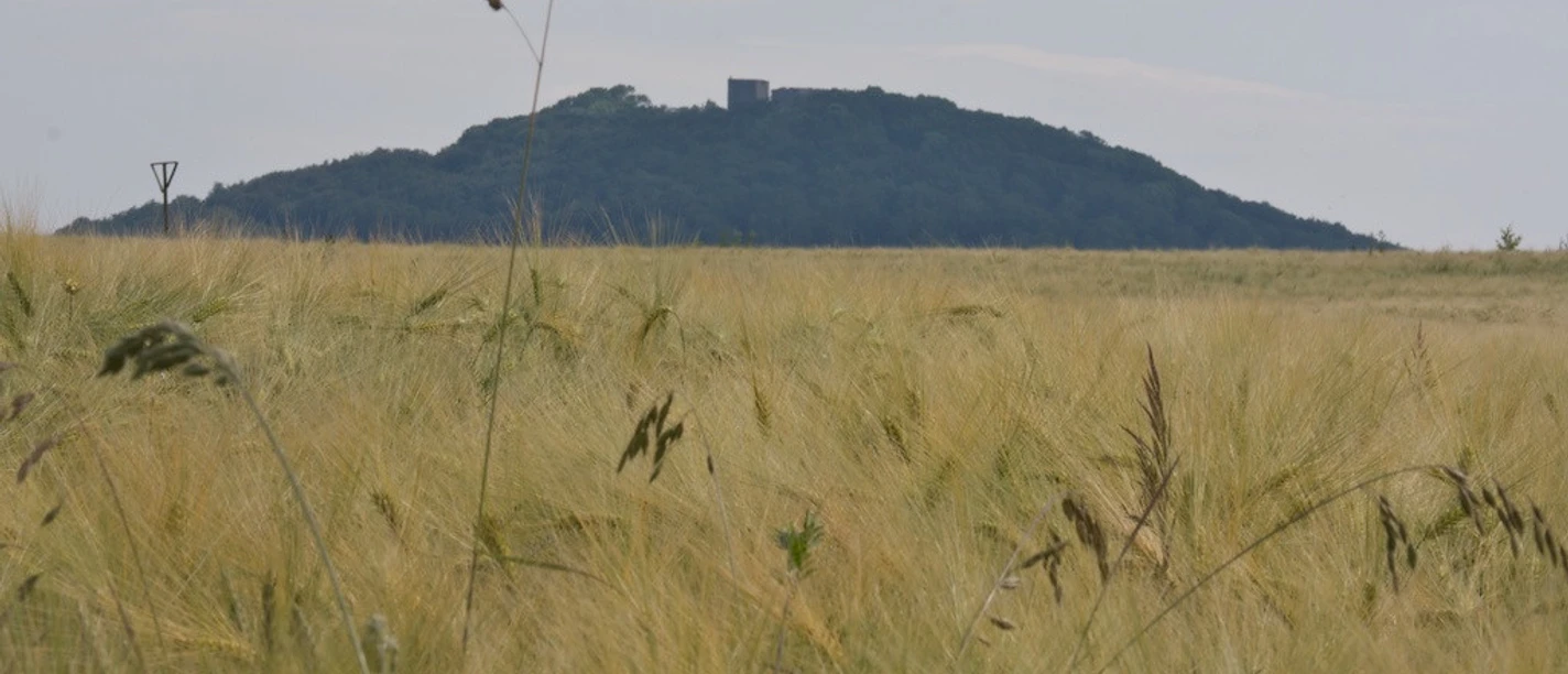 Weidelsburg, Weidelsberg