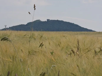 Weidelsburg, Weidelsberg