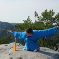 Taijiquan in Saksisch Zwitserland Ein Mann in blauer Kleidung führt eine Kampfkunstpose mit einem Schwert auf einem Felsen aus, umgeben von grünen Bäumen und Bergen im Hintergrund.