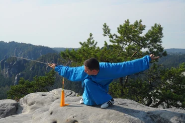 Taijiquan in Saxon Switzerland A man in blue clothing performs a martial arts pose with a sword on a rock, surrounded by green trees and mountains in the background.