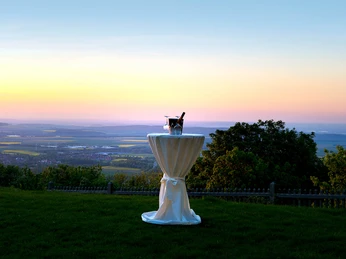 Blick aus dem Garten 1.jpg