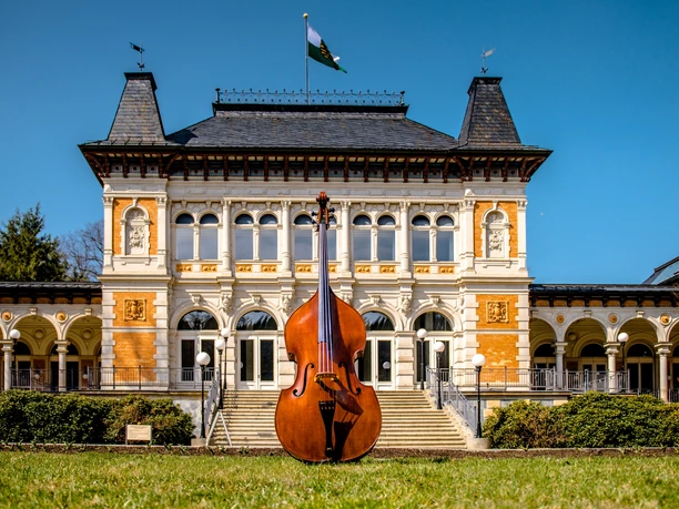 CSMotiv2022©JanBräuer.jpg Großes Kontrabass vor historischer Villa mit verzierten Fassaden und Türmen bei sonnigem Wetter.