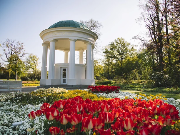 Leopoldsprudel im Kurpark Bad Salzuflen, umgeben von bunten Frühlingsblumen
