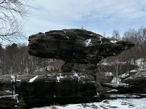 Ein großer, schneebedeckter Felsen in einer winterlichen Landschaft mit kahlen Bäumen und bewölktem Himmel.