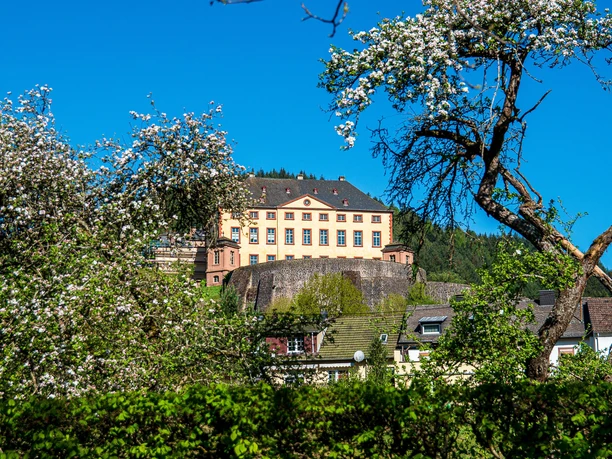 Schloss Malberg