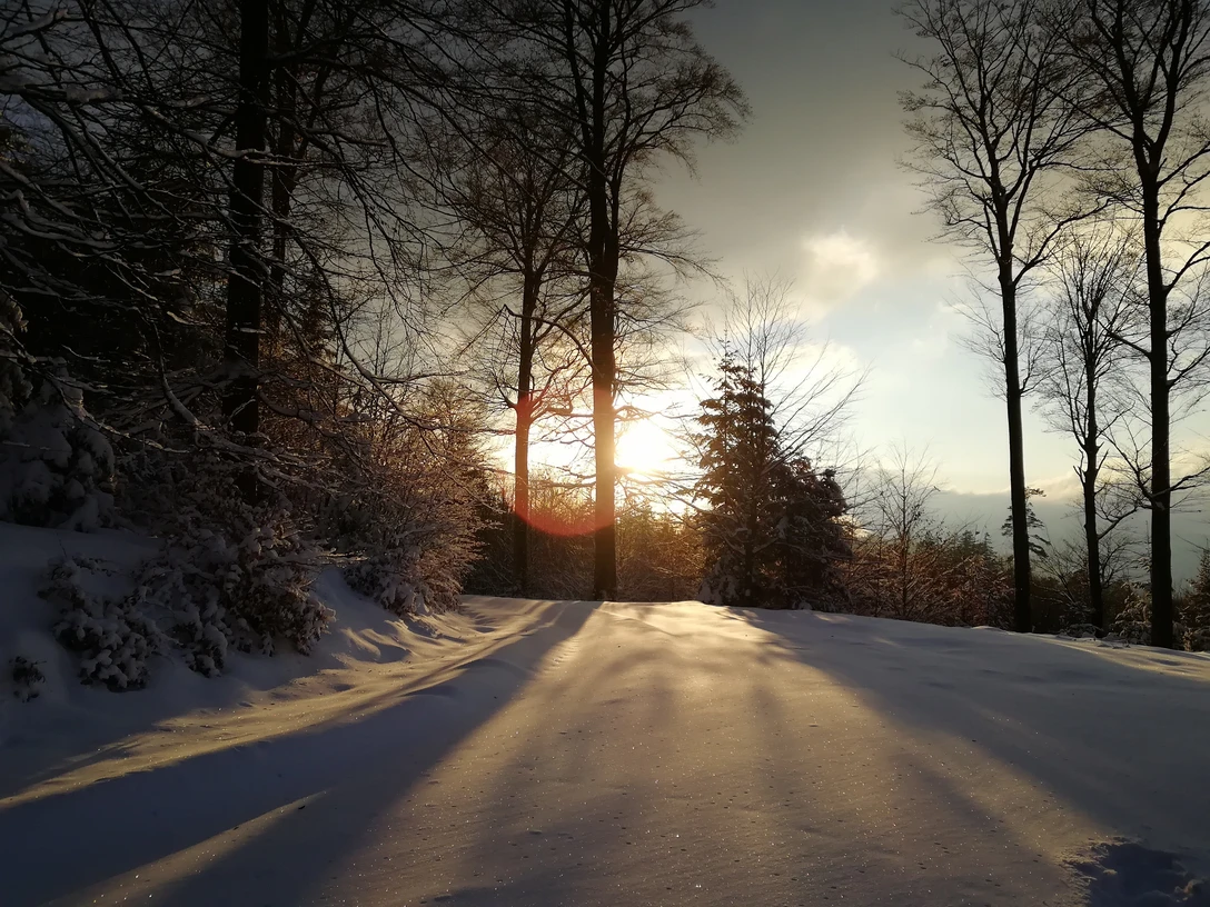 Gernsbach Kaltenbronn Winter
