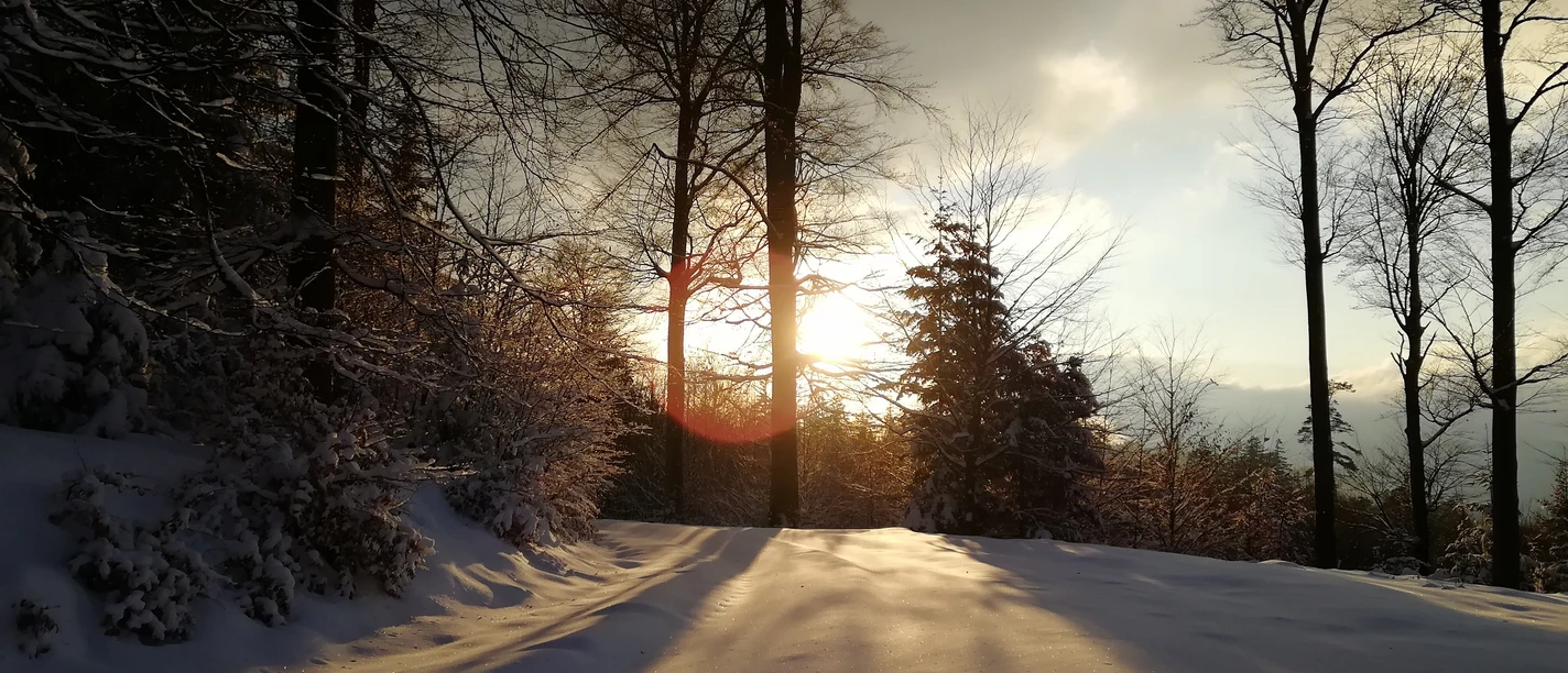 Gernsbach Kaltenbronn Winter