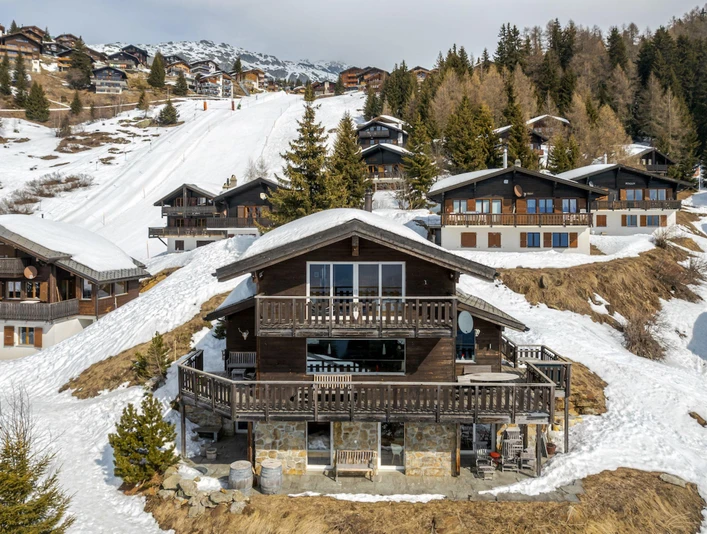 Rupicapra-Winter-Ansicht