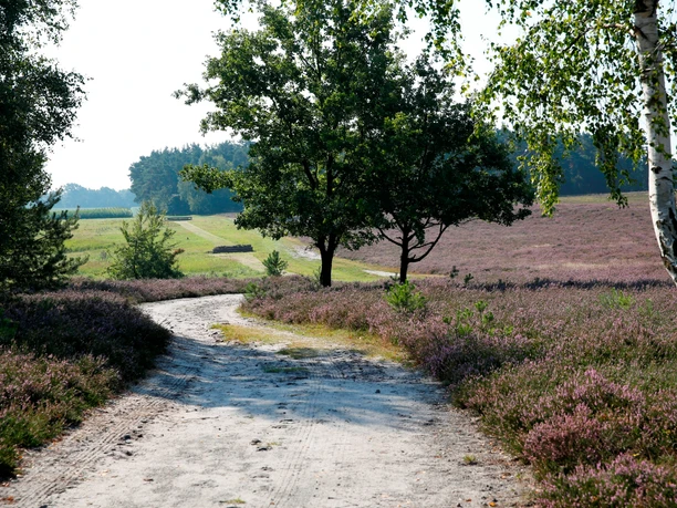 Kirchdorfer Heide