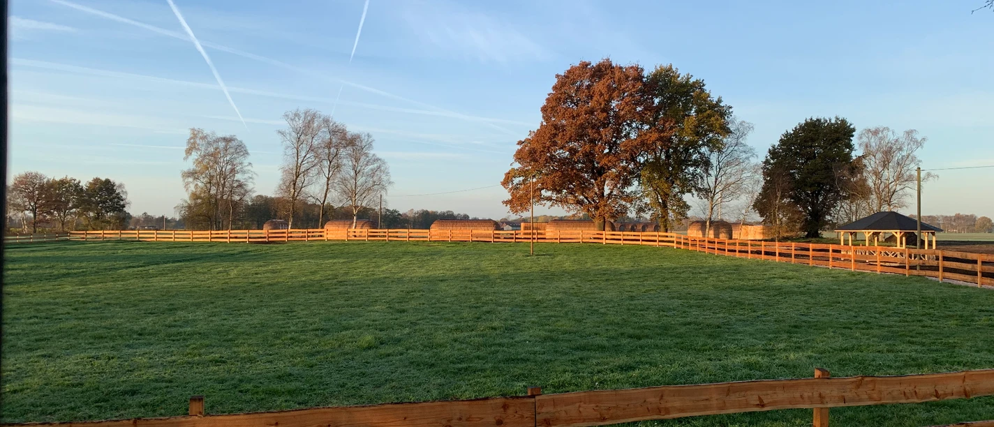 Feriendorf Moorblick