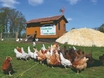 Bauernladen Rennegarbe