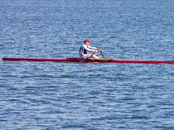 Ruderregatta.jpg