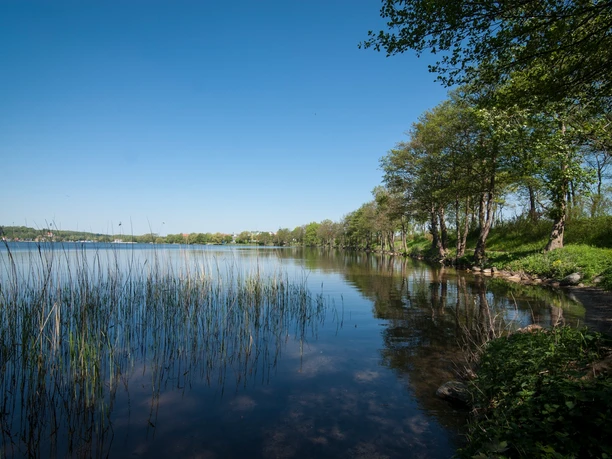 Küchensee_Ratzeburg.jpg