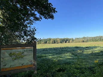Storchenrundweg: Große Wiese Grüne Wiese mit Infotafel "Große Wiese", umrahmt von Bäumen und unter klarem, blauem Himmel.