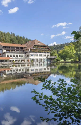 2022_Langenwaldsee_04