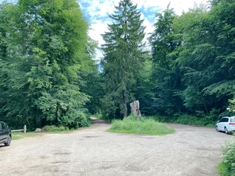 Parkplatz Mölln - Görlitzer Ring oberhalb vom Drüsensee Gravel parking area bordered by dense forest with parked cars and a split path ahead