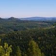 Lampertstein - Forststeig Blick auf eine weitläufige, grüne Waldlandschaft mit Hügeln im Hintergrund unter klarem, blauem Himmel.