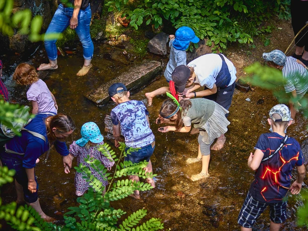 Karl-May-Festtage_Golden Nugget Ranch_026.jpg Menschen waten durch flachen Bach, viele Kinder, umgeben von grünem Laub.