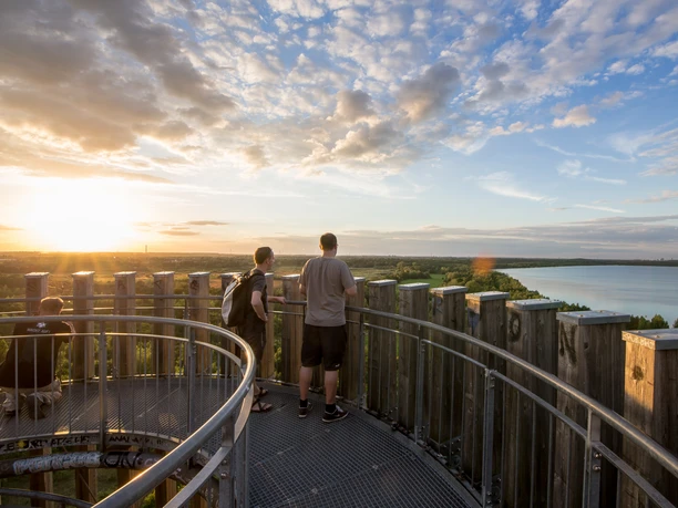 Rear view of two men on the viewing platform Bistumshöhe in the Leipzig region, Neuseenland, nature
