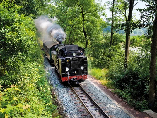 Weisseritztalbahn_Ausfahrt Malter_copyright VVO_MartinSchmidt.JPG