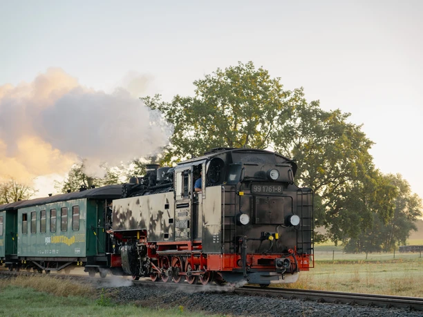 Dresden Elbland-Lößnitzgrundbahn-1_Sebastian Weingart.JPG Eine dampfende Schmalspurbahn fährt durch eine grüne ländliche Landschaft.