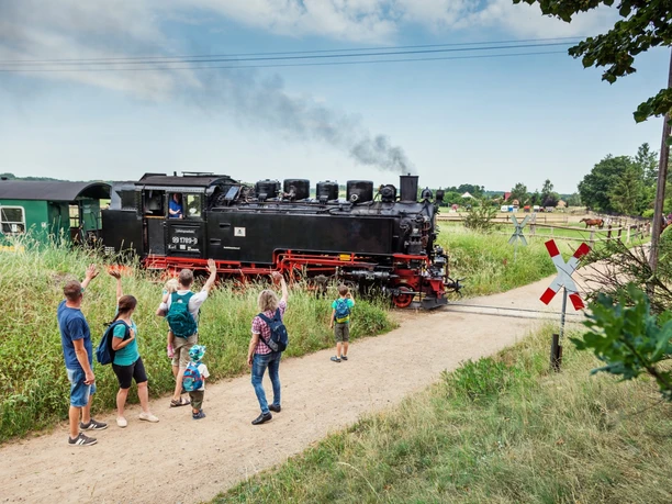 A historic steam locomotive drives through a green landscape. Hikers watch it.
