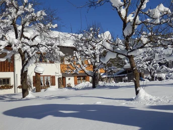 Auch im Winter Sonnenschein