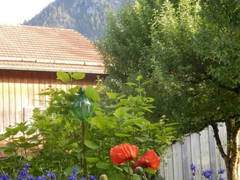 Der Kofel unser Hausberg