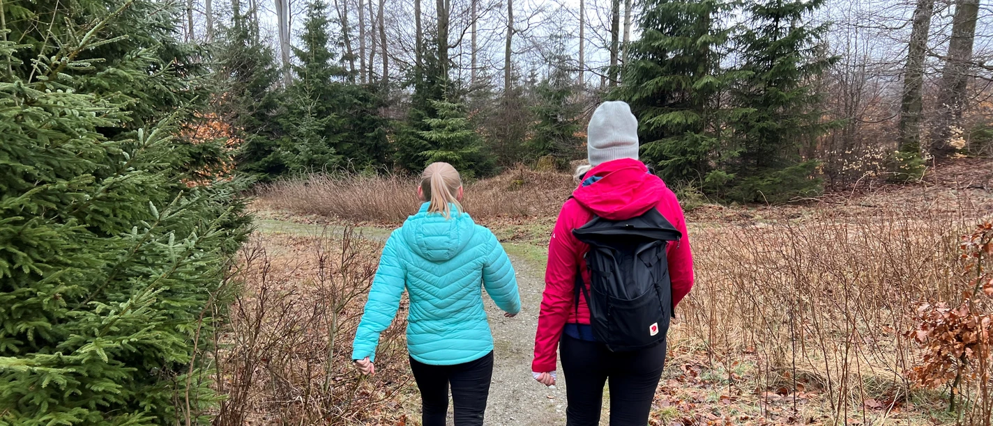 Twee mensen lopen over een bospad omringd door bomen en gebladerte in een algemene herfstsfeer.