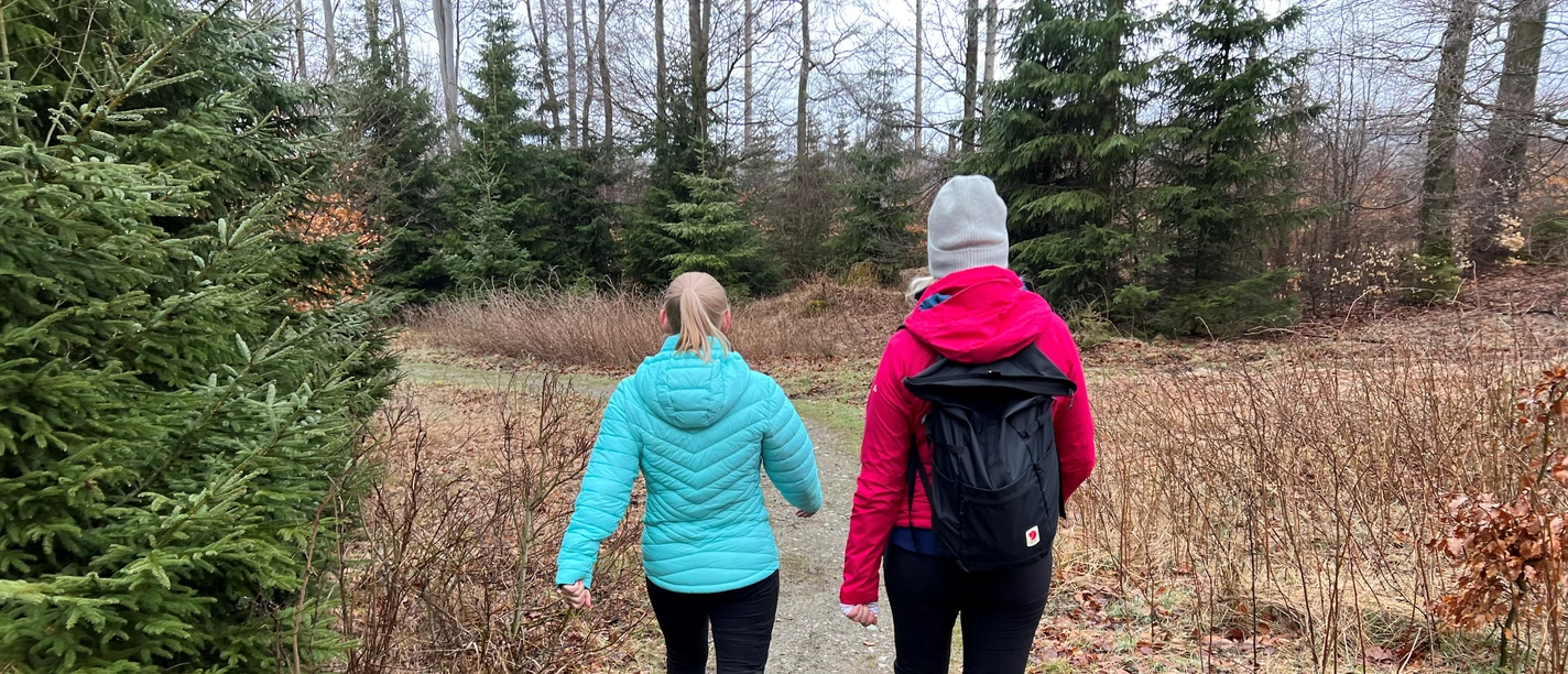 Wandern Zwei Personen wandern auf einem Waldpfad umgeben von Bäumen und Laub im Herbstambiente.