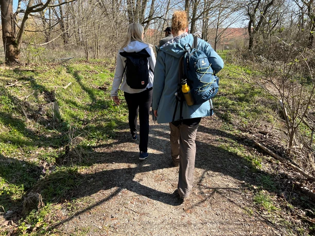 Twee mensen wandelen op een zonnig bospad met rugzakken in de regio Mittelweser.