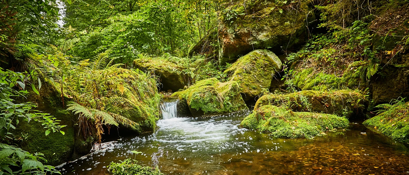Forellensteig bei Berggießhübel