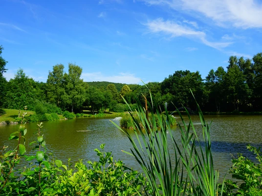 Blick auf Freizeitsee Martinhagen Gemeinde Schauenburg