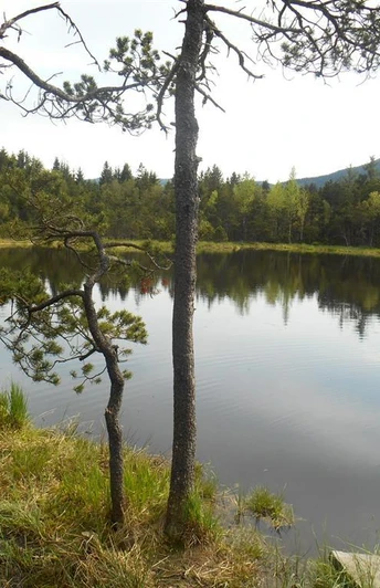 der idyllische Tiefsee