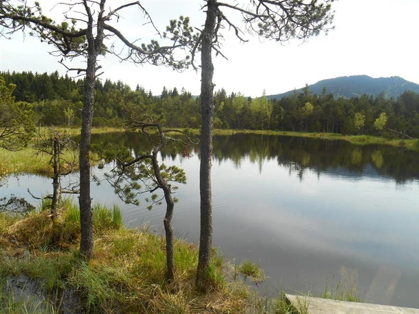 der idyllische Tiefsee