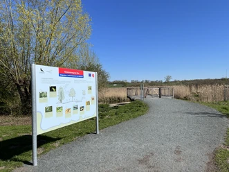 Allerrenauturierung