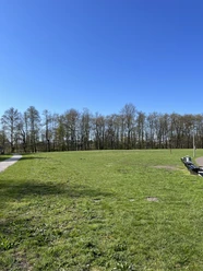 Hundefreilauf am Südufer Allersee
