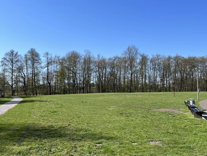 Hundefreilauf am Südufer Allersee